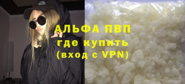 индика Елизово
