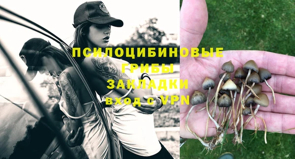 кристаллы Дмитриев