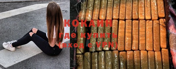 индика Елизово