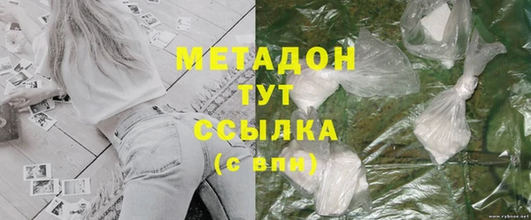 индика Елизово