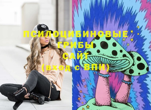 индика Елизово